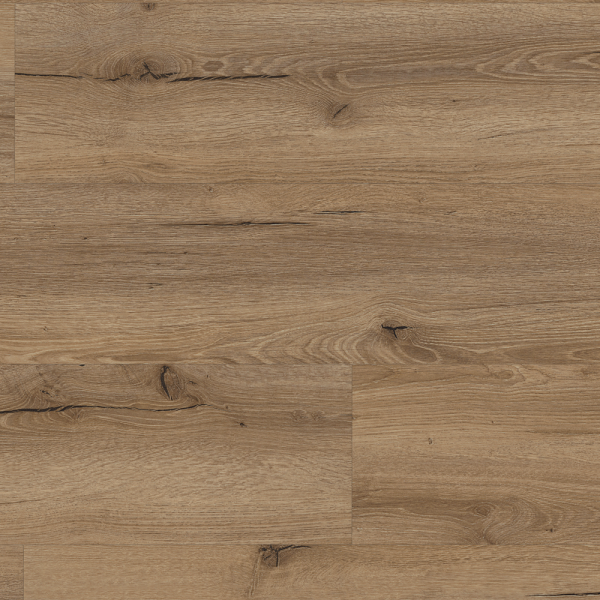 Ligante Eiche Vicenza Click-Vinylboden Diele Trittschalldämmung