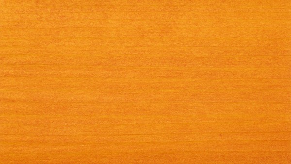 Koralan Holzöl Spezial Lärche 2,5 l