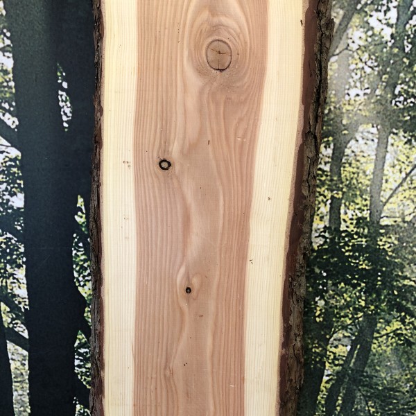 Heim. Lärche Bretter unbesäumt & gehobelt Baumkante Rinde 20-30 cm