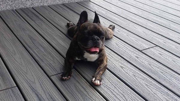 Trex WPC Terrassendielen 25x140 mm Island Mist Transcend