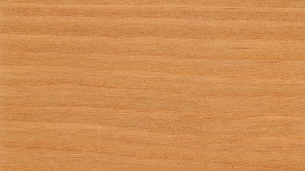 Koralan Holzöl Spezial UV Natur 2,5 l