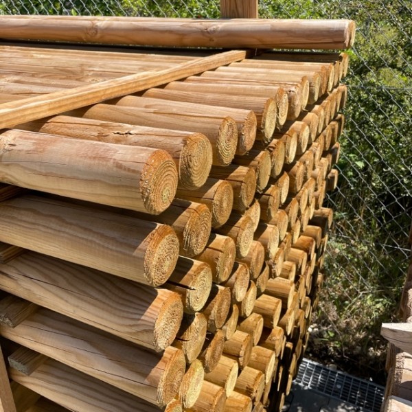 Fichte / Kiefer Pfähle Ø6 cm kdi grün 2,50 m gefräst & gespitzt