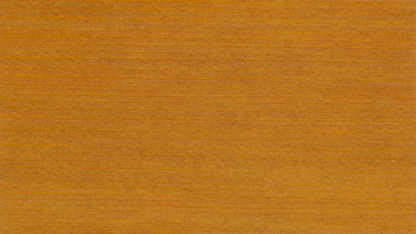 Koralan Holzöl Spezial Eiche Hell 2,5 l